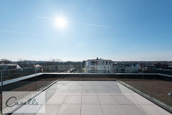 10-kamerappartement te koop in Sint-Michiels