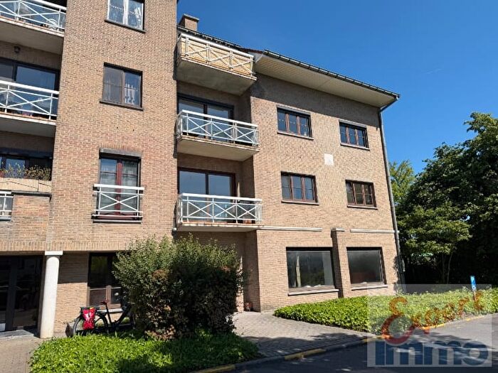 9-kamerappartement te huur in Harelbeke