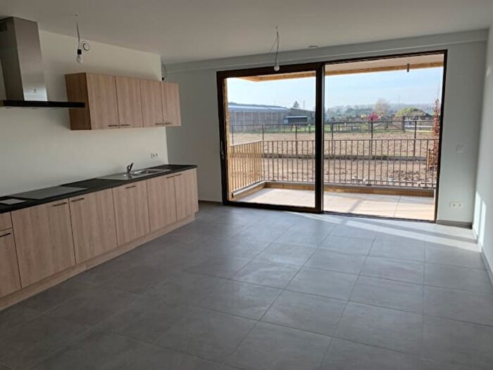 2-kamerappartement te huur in Puurs