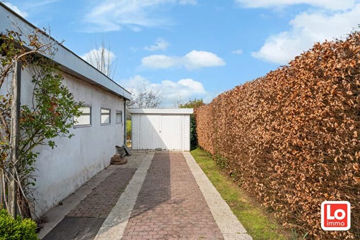 Huizen Koop Huur - 2