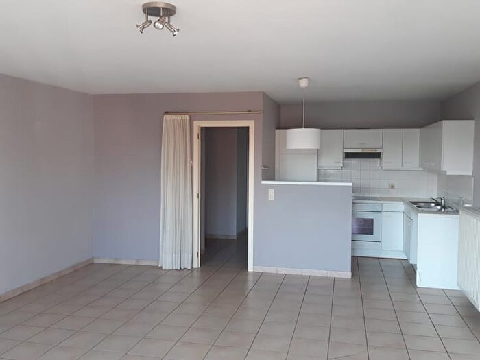 5-kamerappartement te huur in Beringen