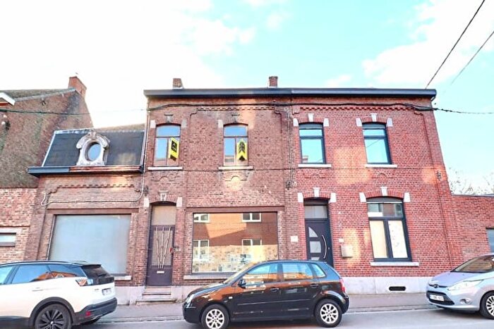 3-kamerhuis te koop in Anderlues