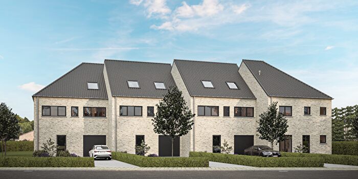 5-kamerhuis te koop in Drieslinter