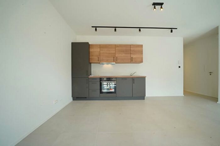 13-kamerappartement te huur in Seraing