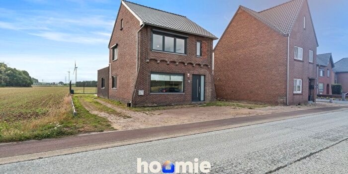 3-kamerhuis te koop in Opgrimbie
