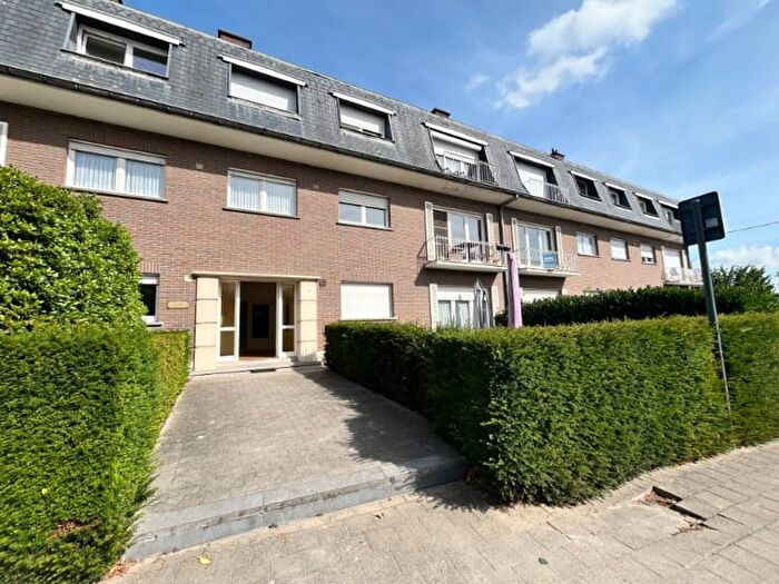 13-kamerappartement te huur in Harelbeke