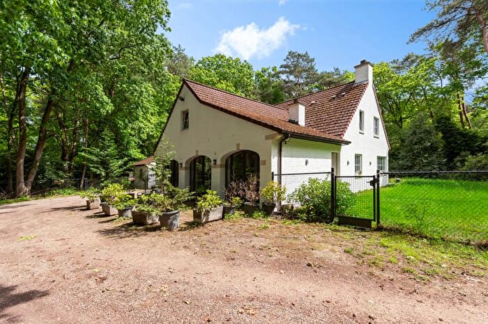 Huizen Koop Huur - 3