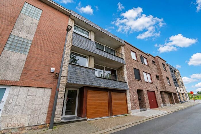 9-kamerappartement te huur in Zellik