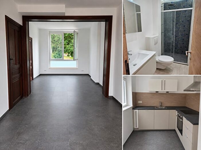3-kamerhuis te huur in Thuin