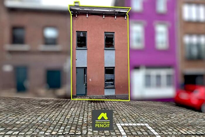 3-kamerhuis te koop in Seraing