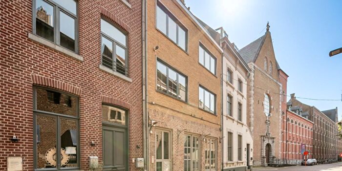 1-kamerappartement te koop in Maaseik