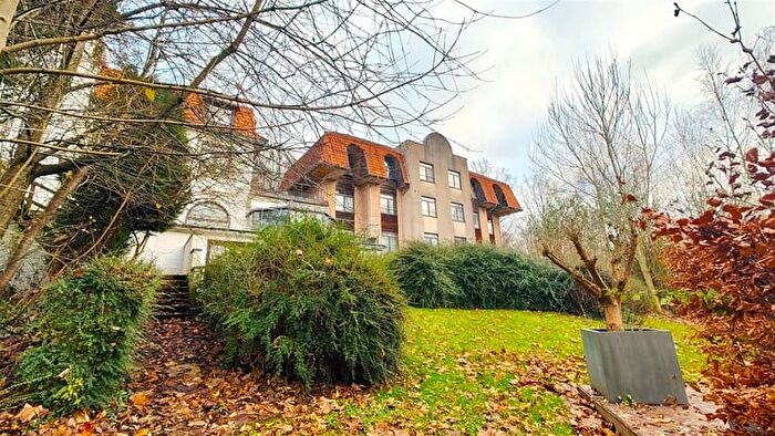 13-kamerappartement te koop in AMOUGIES