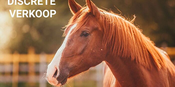 Huis te koop in Damme