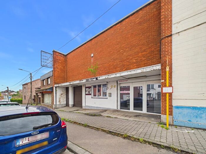 9-kamerhuis te koop in La Louvière Haine-Saint-Paul
