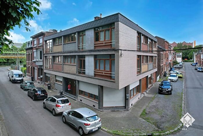 Huis te koop in Seraing Jemeppesur-Meuse