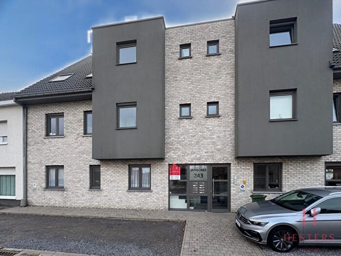 1-kamerappartement te huur in Zelzate