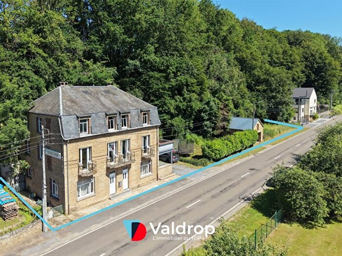 10-kamerhuis te koop in Florenville