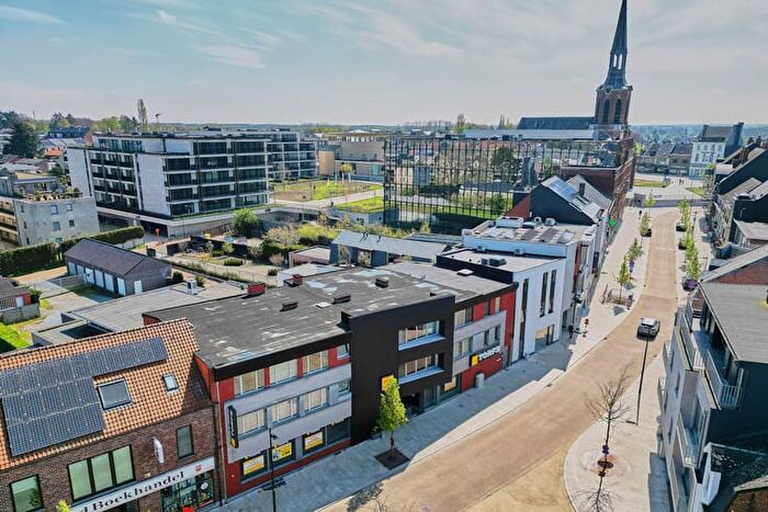 11-kamerappartement te koop in Beringen