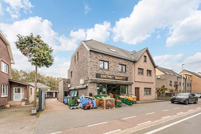 3-kamerhuis te koop in HOUTHALEN-HELCHTEREN