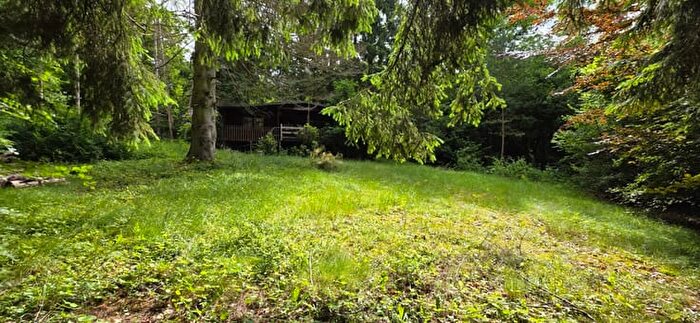 1-kamerhuis te koop in Gedinne Vencimont