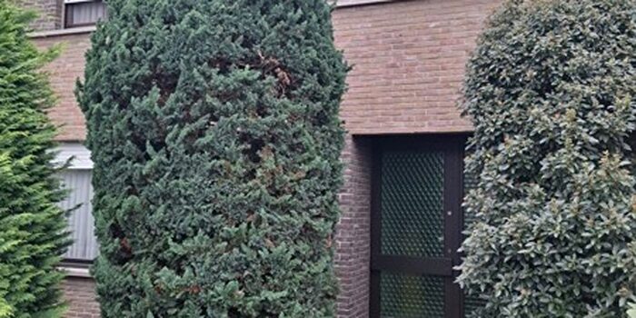 3-kamerhuis te koop in Berlare