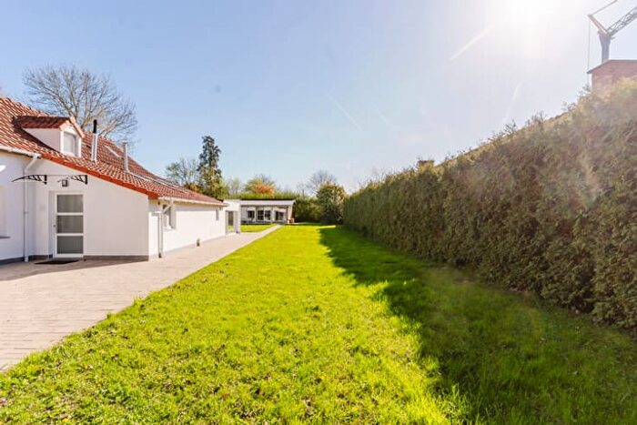 Huizen Koop Huur - 2
