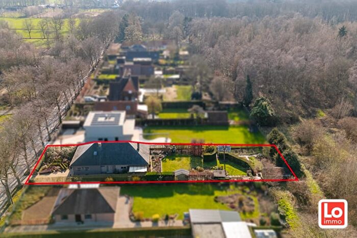 Huizen Koop Huur - 2