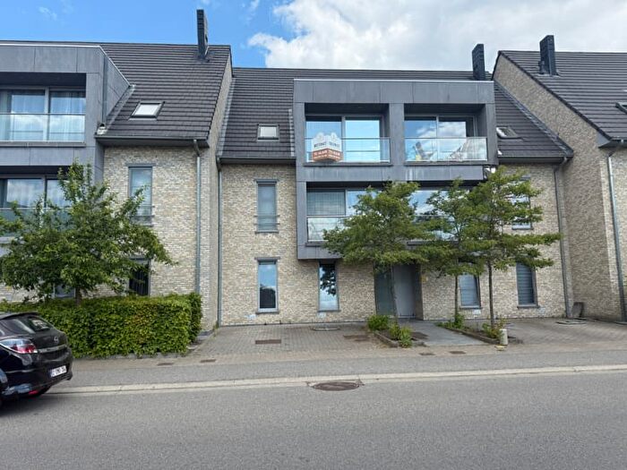 8-kamerappartement te huur in Buggenhout