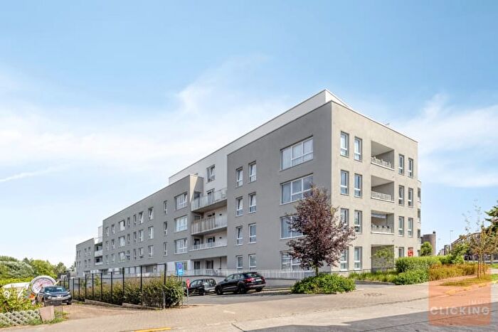 10-kamerappartement te koop in Zellik