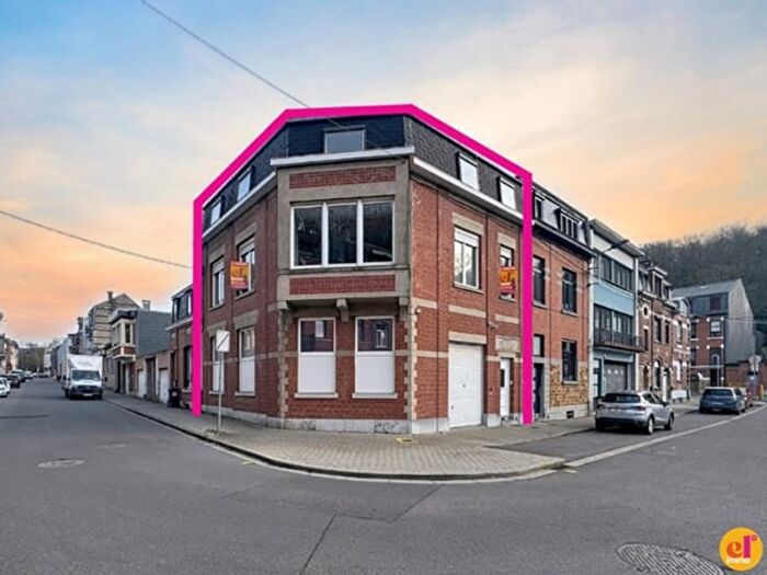 5-kamerhuis te koop in Dison