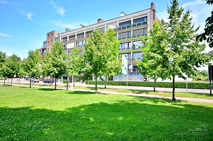 11-kamerappartement te koop in Ronse
