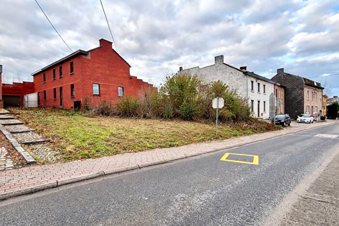 13-kamerhuis te koop in Moustier-sur-Sambre