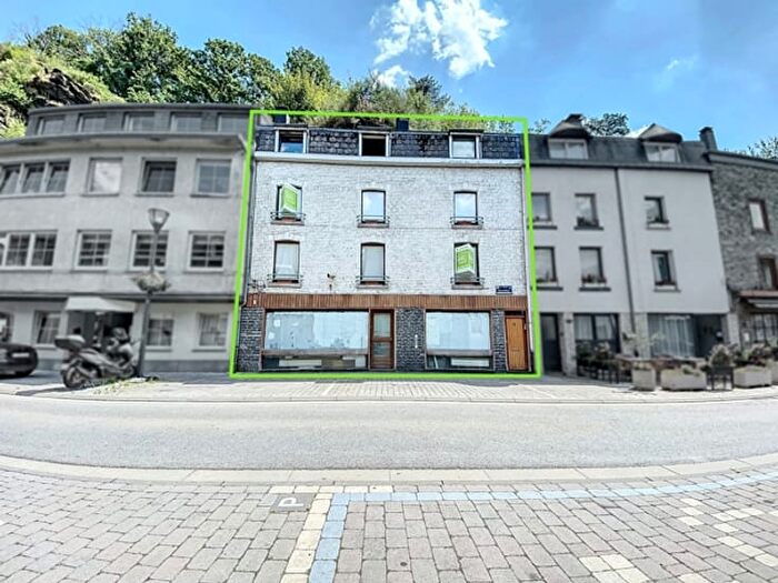 4-kamerhuis te koop in La Roche-en-Ardenne