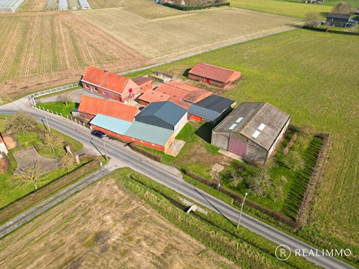 Huizen Koop Huur - 2