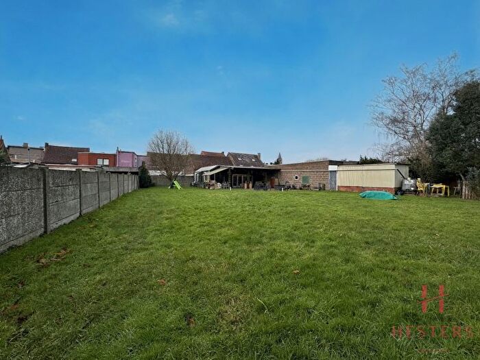 Huizen Koop Huur - 3